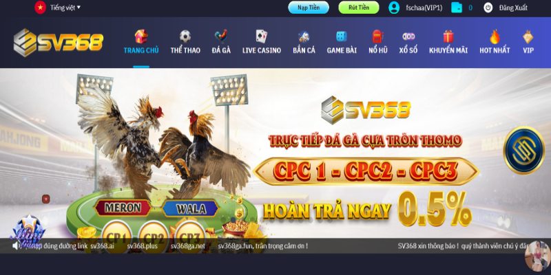 truy cap trang web dang nhap sv368